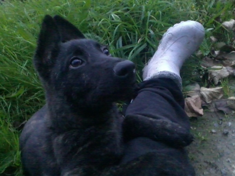 Info of Saint John's