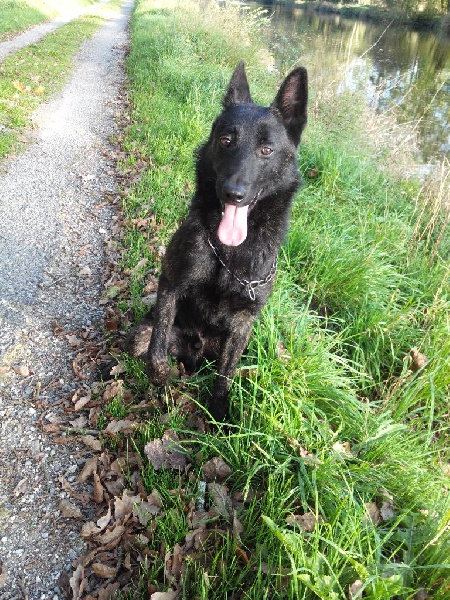 Info of Saint John's