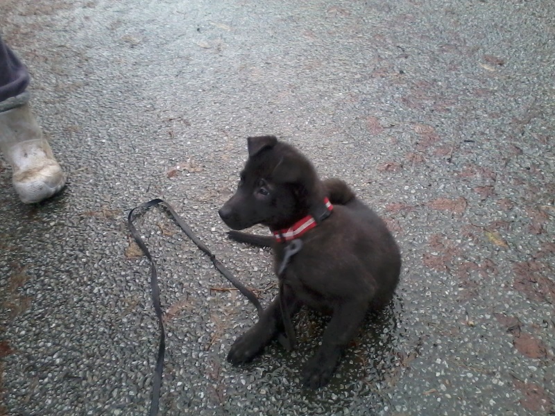 Mac Khalahann's H'avel