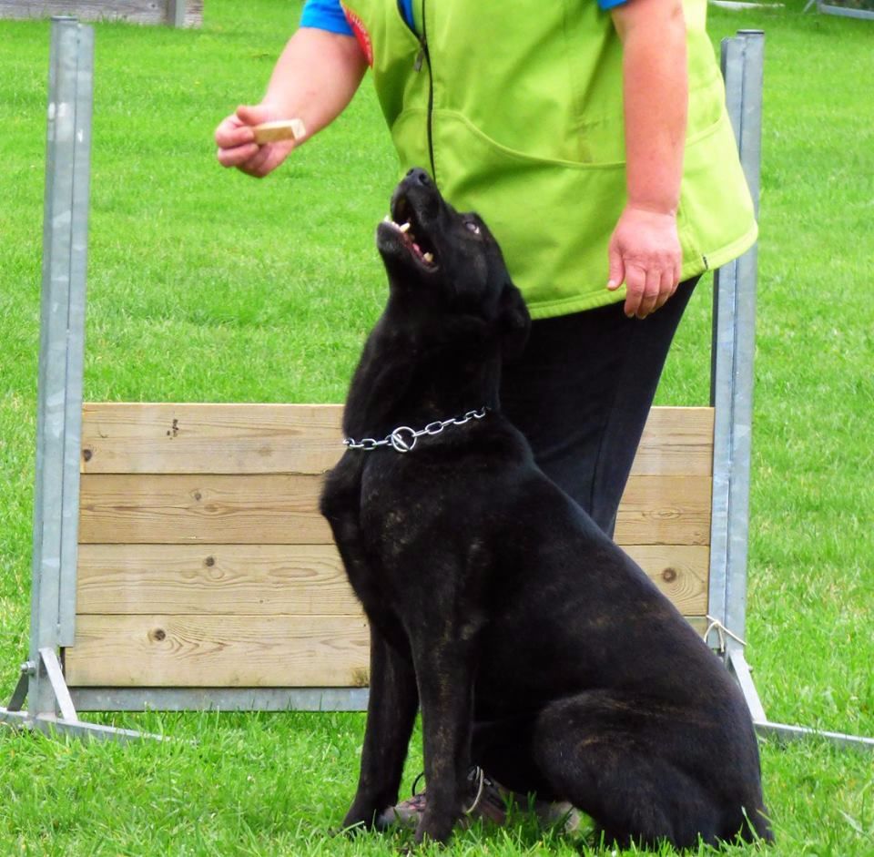 Mac Khalahann's H'avel