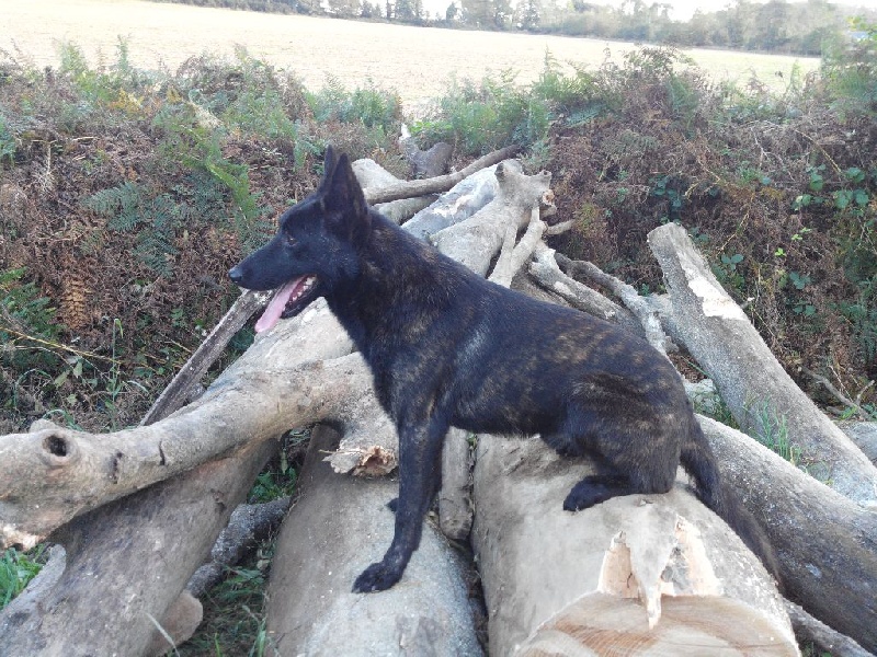 Info of Saint John's