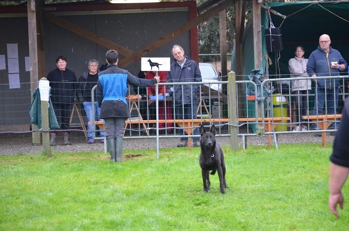 Mac Khalahann's H'avel