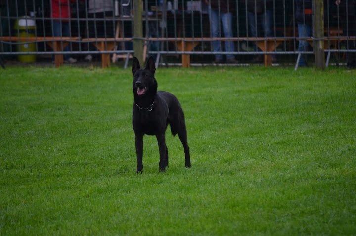 Mac Khalahann's H'avel