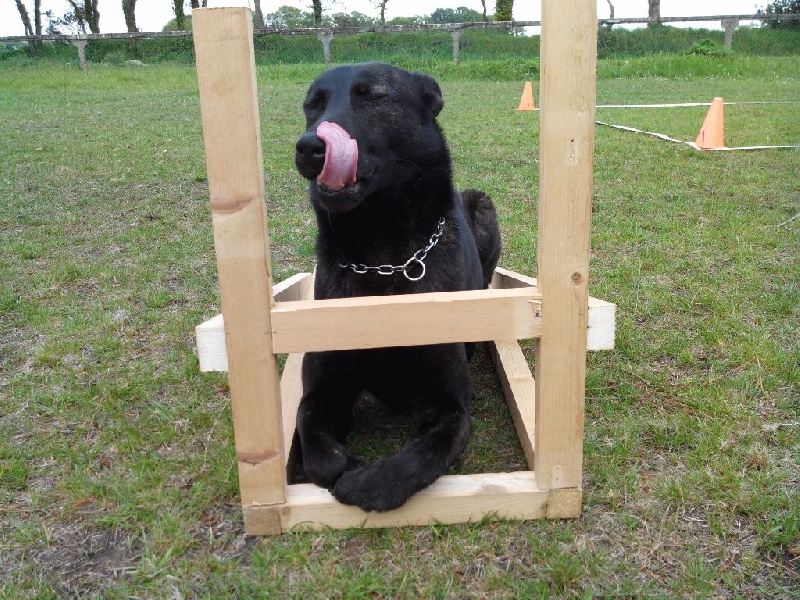 Mac Khalahann's H'avel