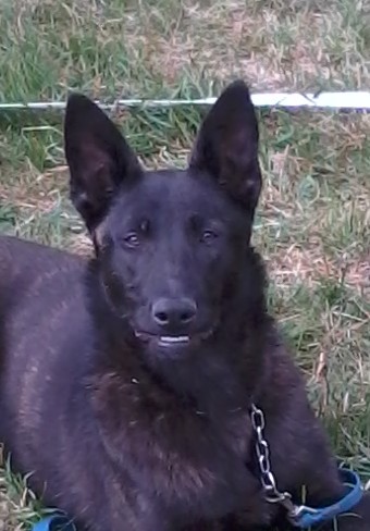 Mac Khalahann's H'avel