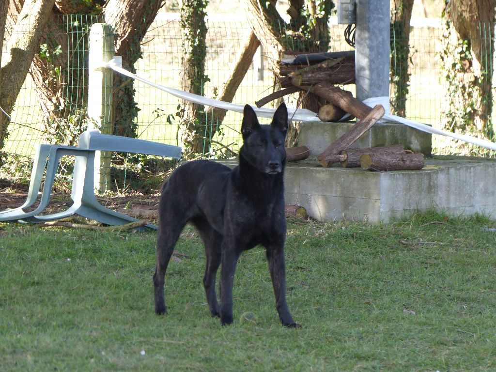 Mac Khalahann's H'avel