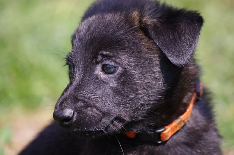 Info of Saint John's