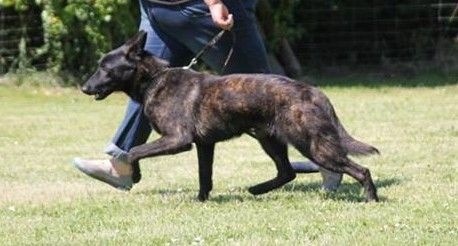 Info of Saint John's