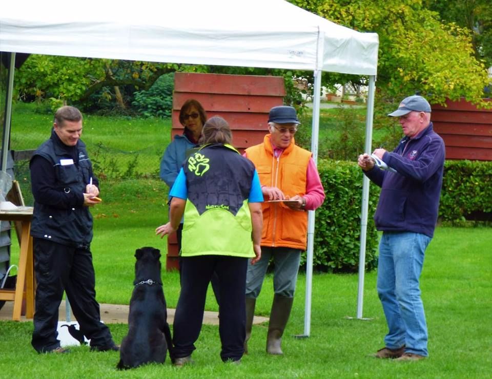 Mac Khalahann's H'avel