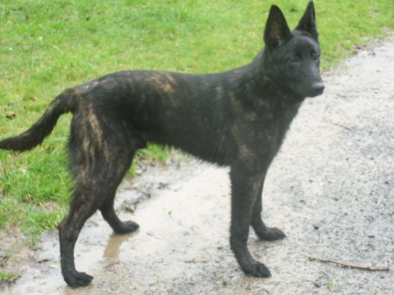 Info of Saint John's