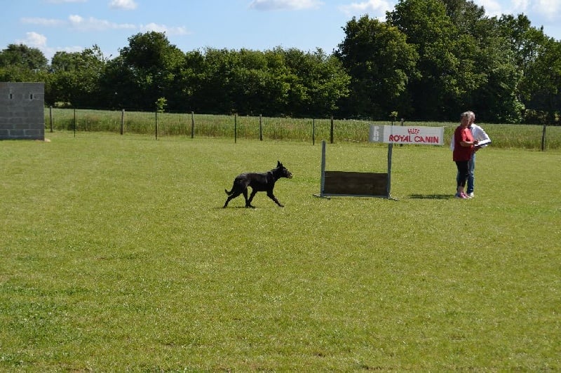 Mac Khalahann's H'avel