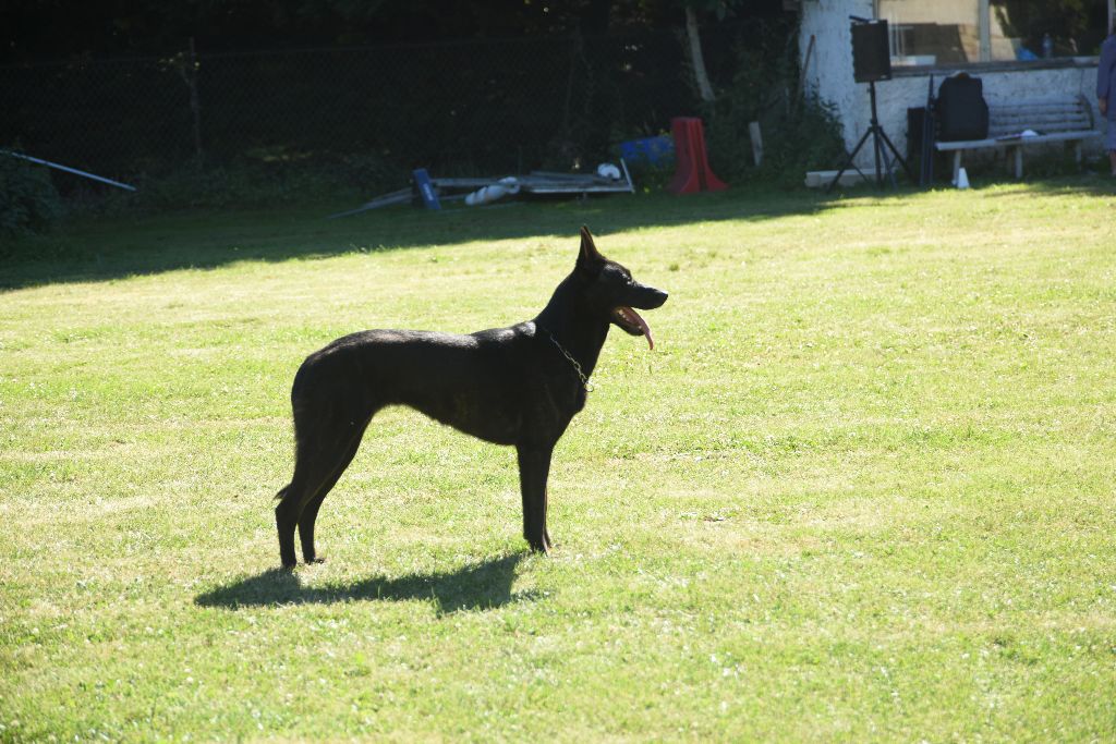 Mac Khalahann's H'avel