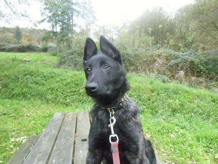 Info of Saint John's