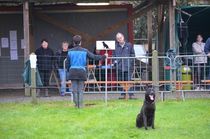 Mac Khalahann's H'avel