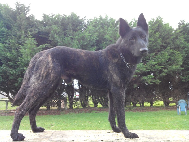 Info of Saint John's