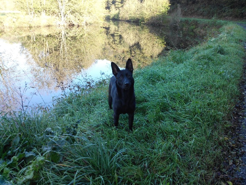 Mac Khalahann's H'avel