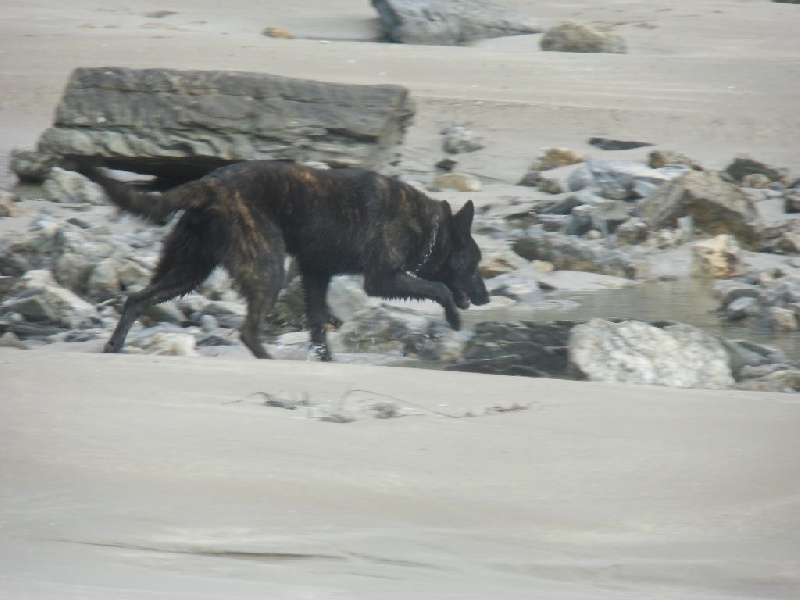 Info of Saint John's