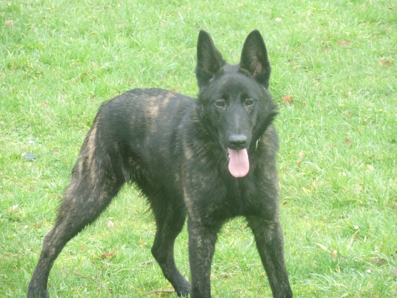 Info of Saint John's