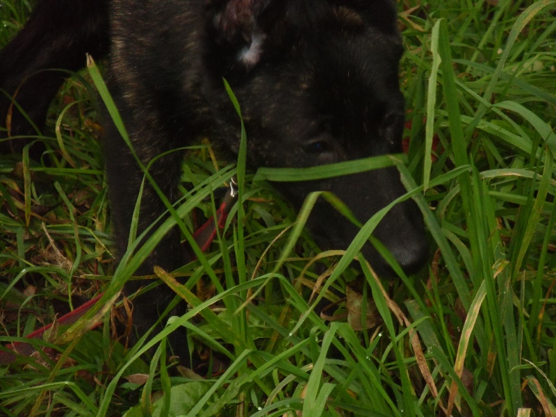 Info of Saint John's