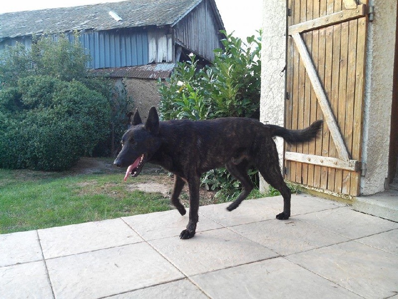 Info of Saint John's