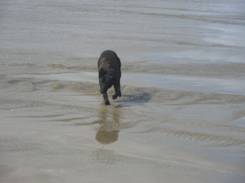 Info of Saint John's