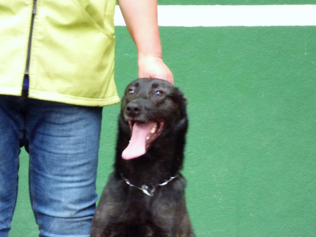 Mac Khalahann's H'avel