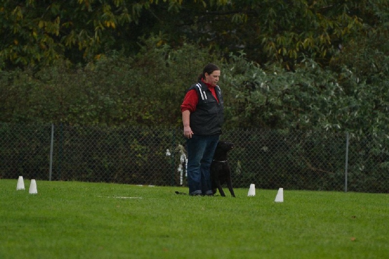 Mac Khalahann's H'avel