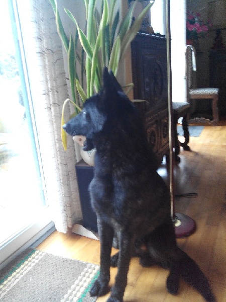 Info of Saint John's