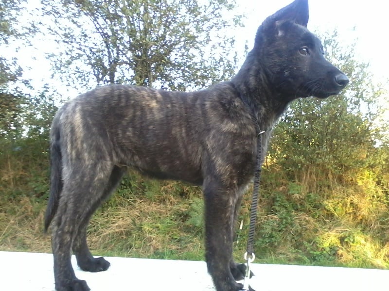 Info of Saint John's