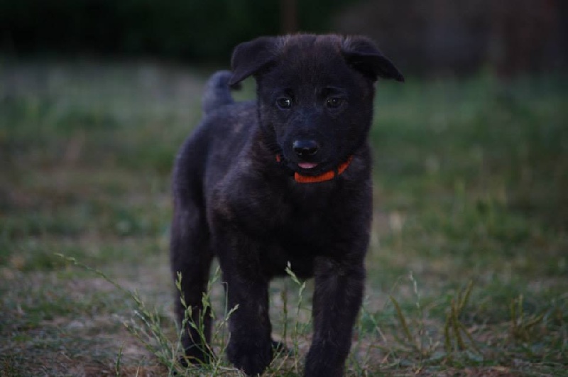 Info of Saint John's