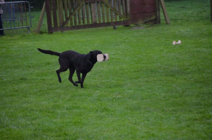 Mac Khalahann's H'avel