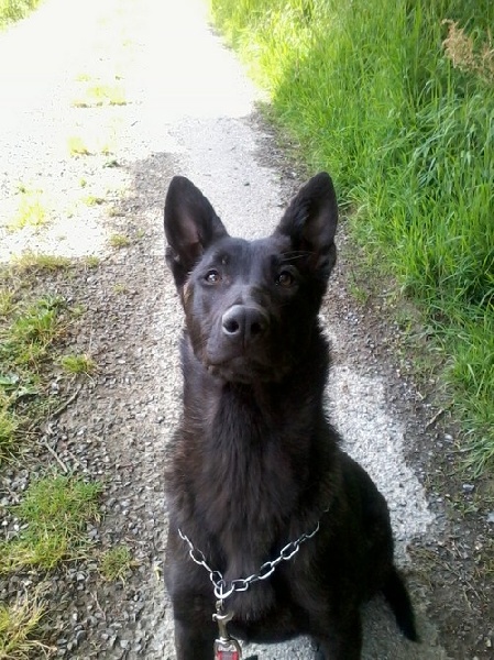 Mac Khalahann's H'avel