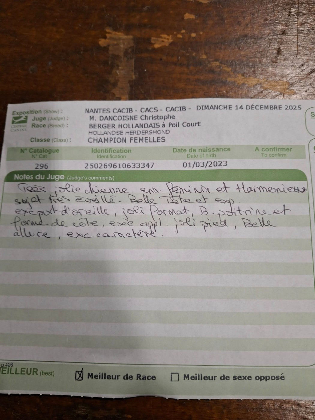 CH. Un tamming Des Héritiers D'hojoshei - CACIB-Meilleur de race