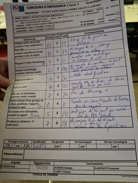 Riboul D'Une Légende Bretonne - 178.5