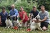 - VOUILLE 2017 NE du SETTER ANGLAIS