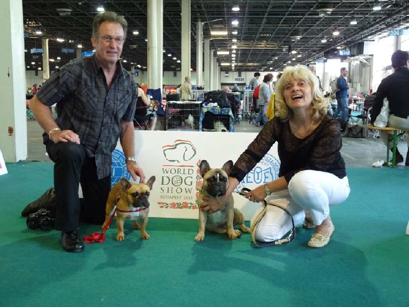 Gothika diaz du Clos des Papillons - TRES BON