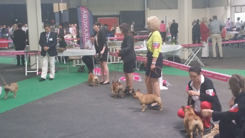 Gothika diaz du Clos des Papillons - EXCELLENT N.C.