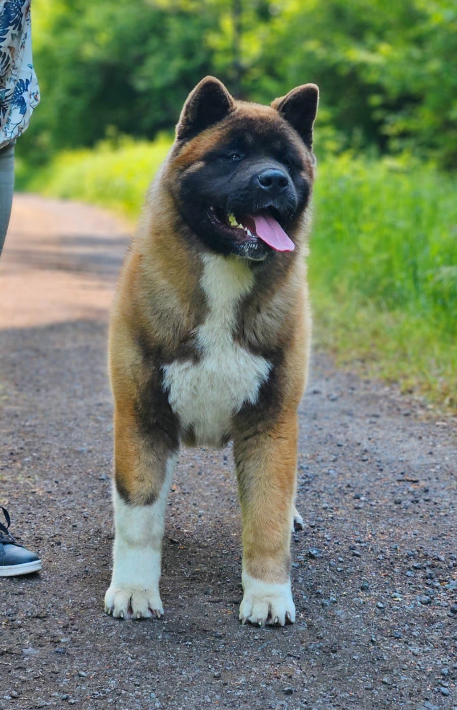 Vantage Des Gardiens De L'arche De Noé