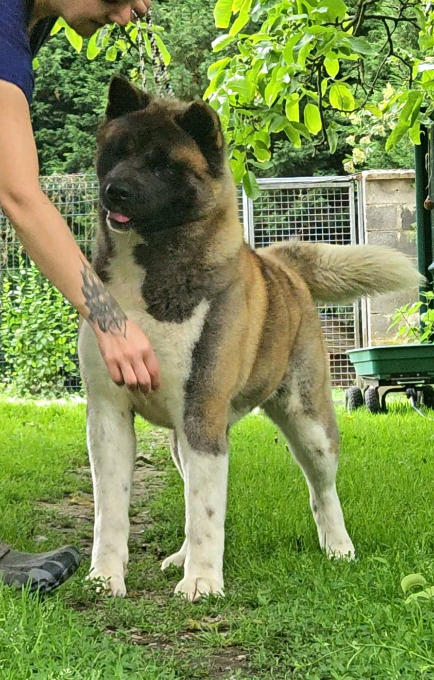 Publication : Des Gardiens De L'arche De Noé