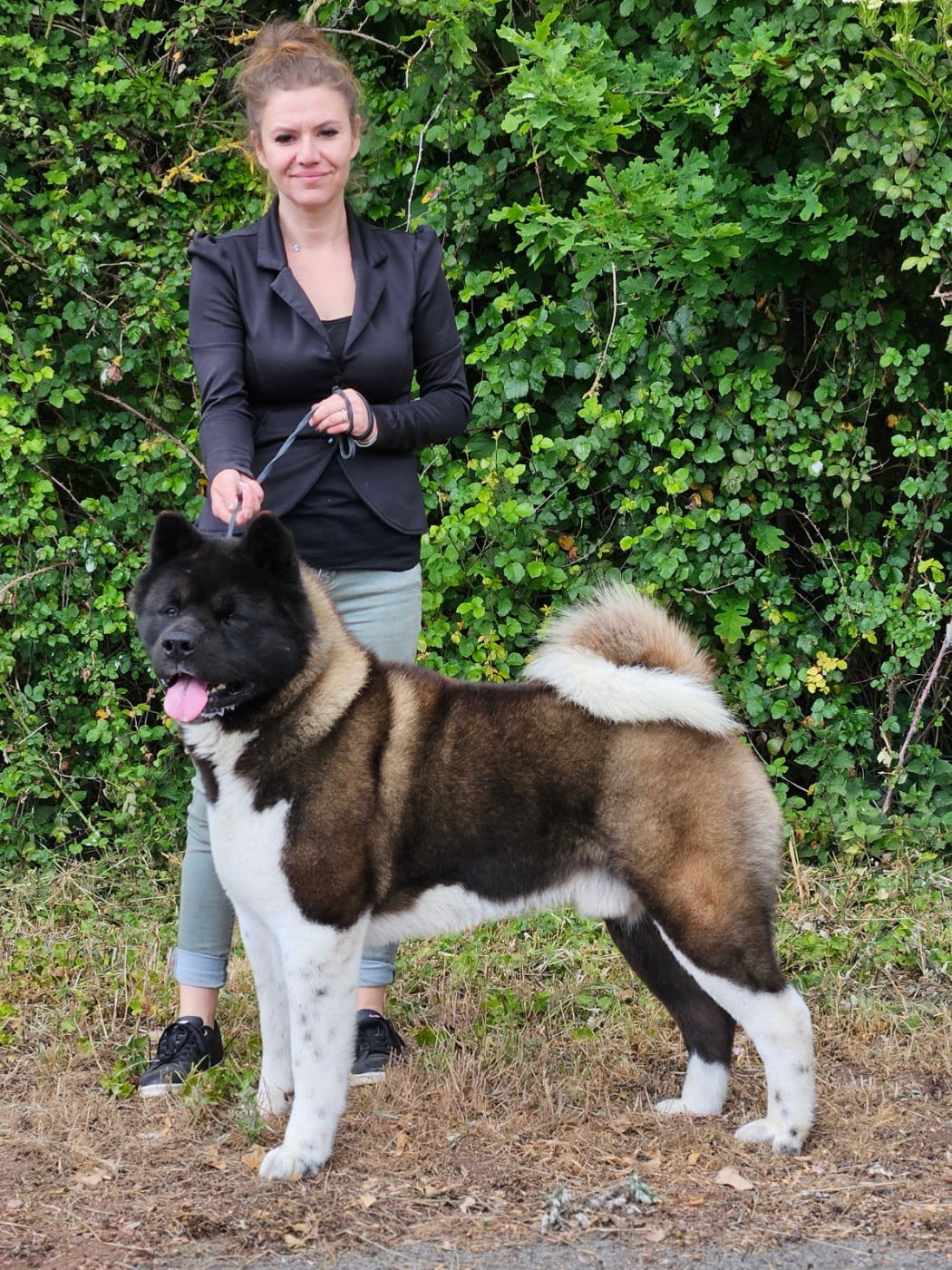 Publication : Des Gardiens De L'arche De Noé