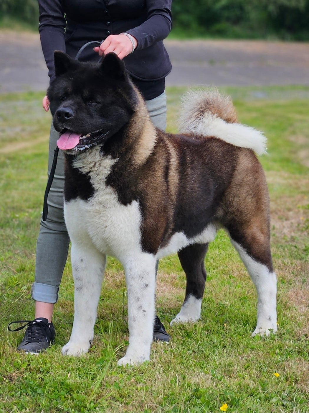 Publication : Des Gardiens De L'arche De Noé