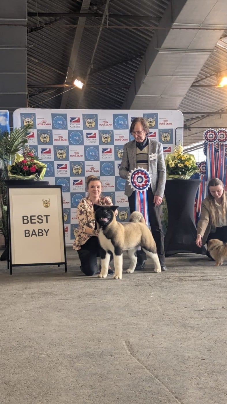 Addicted to you Des Gardiens De L'arche De Noé