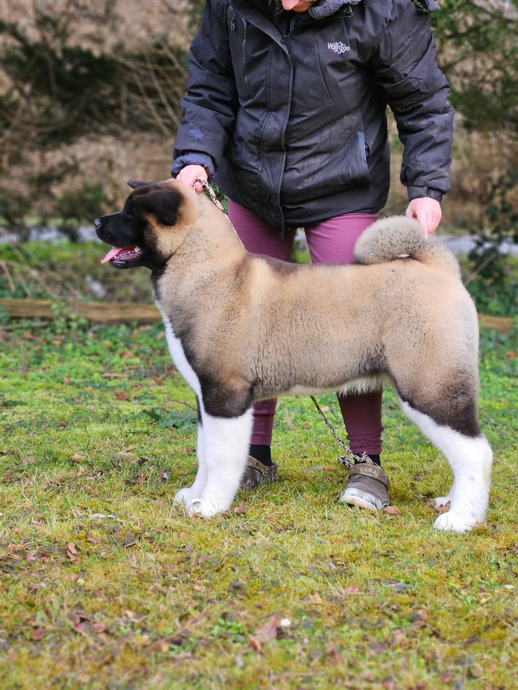 Addicted to you Des Gardiens De L'arche De Noé