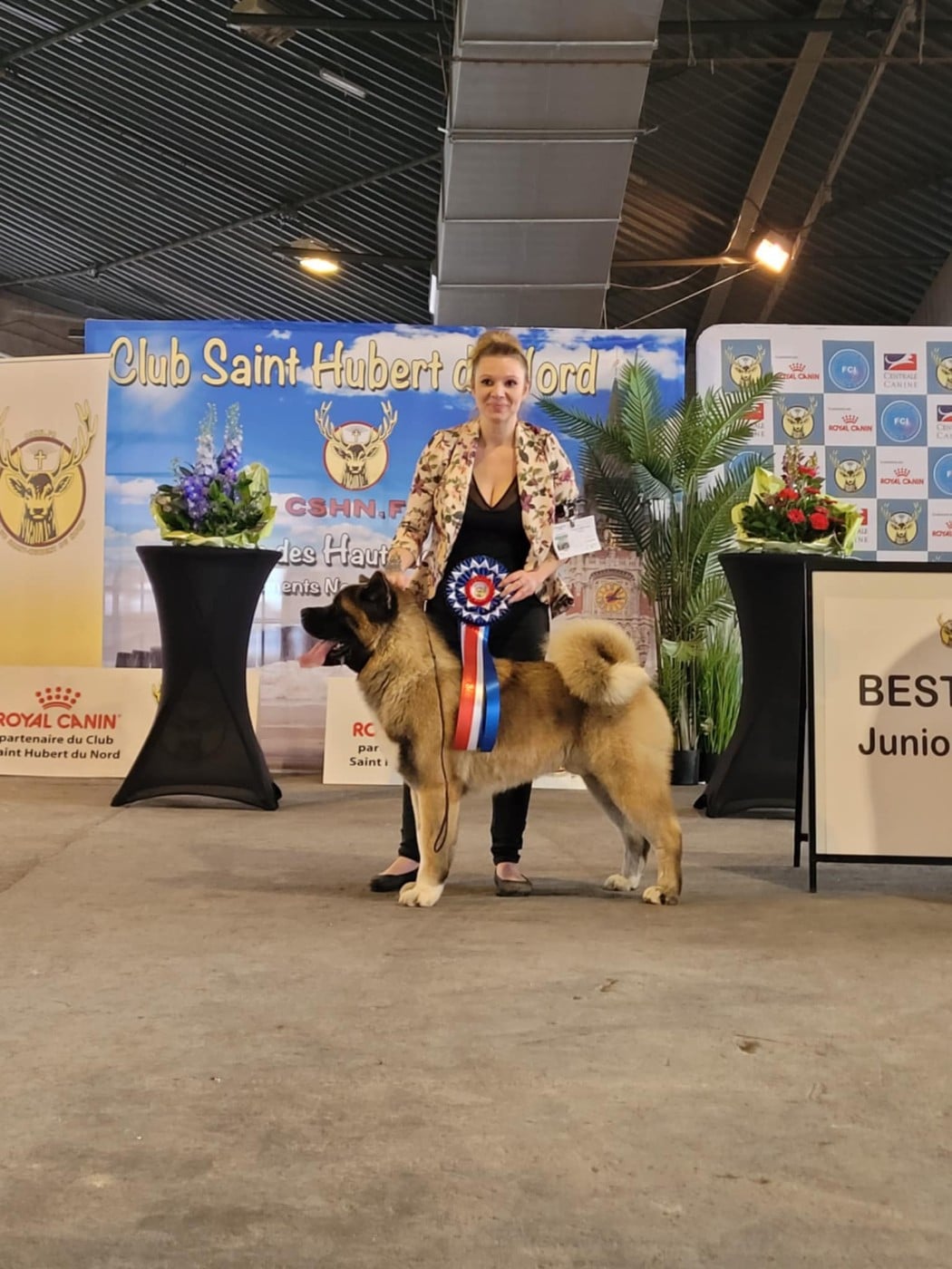 Vantage Des Gardiens De L'arche De Noé