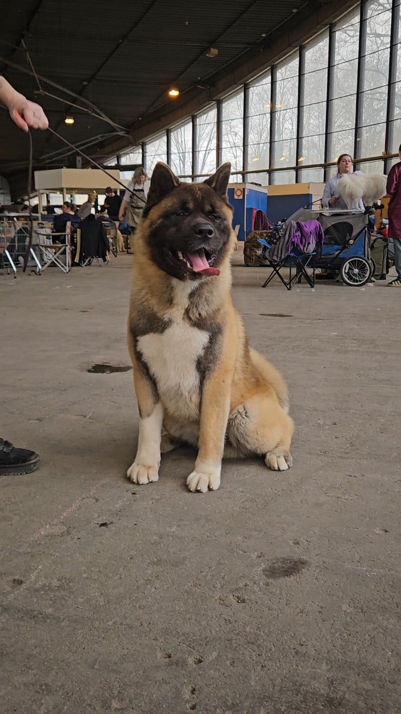Vantage Des Gardiens De L'arche De Noé