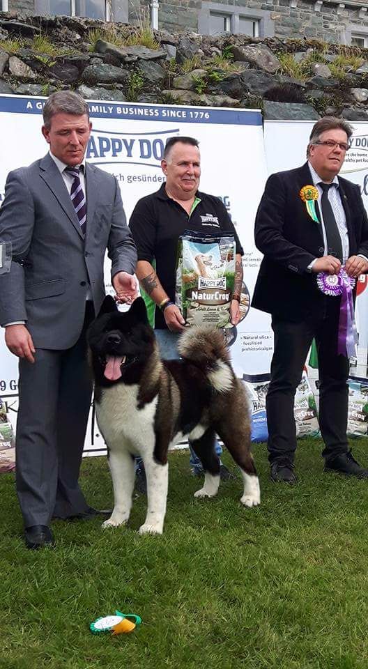 CH. ritetype's High performance dit aston - 1er excellent Green star (=CAC) BOB BOG BIS5