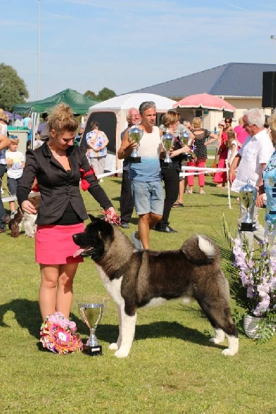 CH. ritetype's High performance dit aston - BOB jeune BOB BIS jeune BIS gr5 BIS3