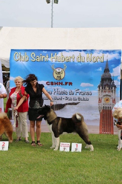 CH. ritetype's High performance dit aston - 1er excellent meilleur de race, meilleur de groupe 5