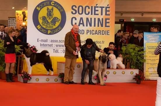 CH. ritetype's High performance dit aston - BOBJ BOB BOSgr5 BOSJ3 BOS gr5 3