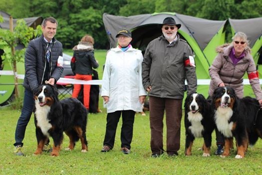 Jerlin- doo- merlin du Domaine du Lanthenay - 3 eme excellent